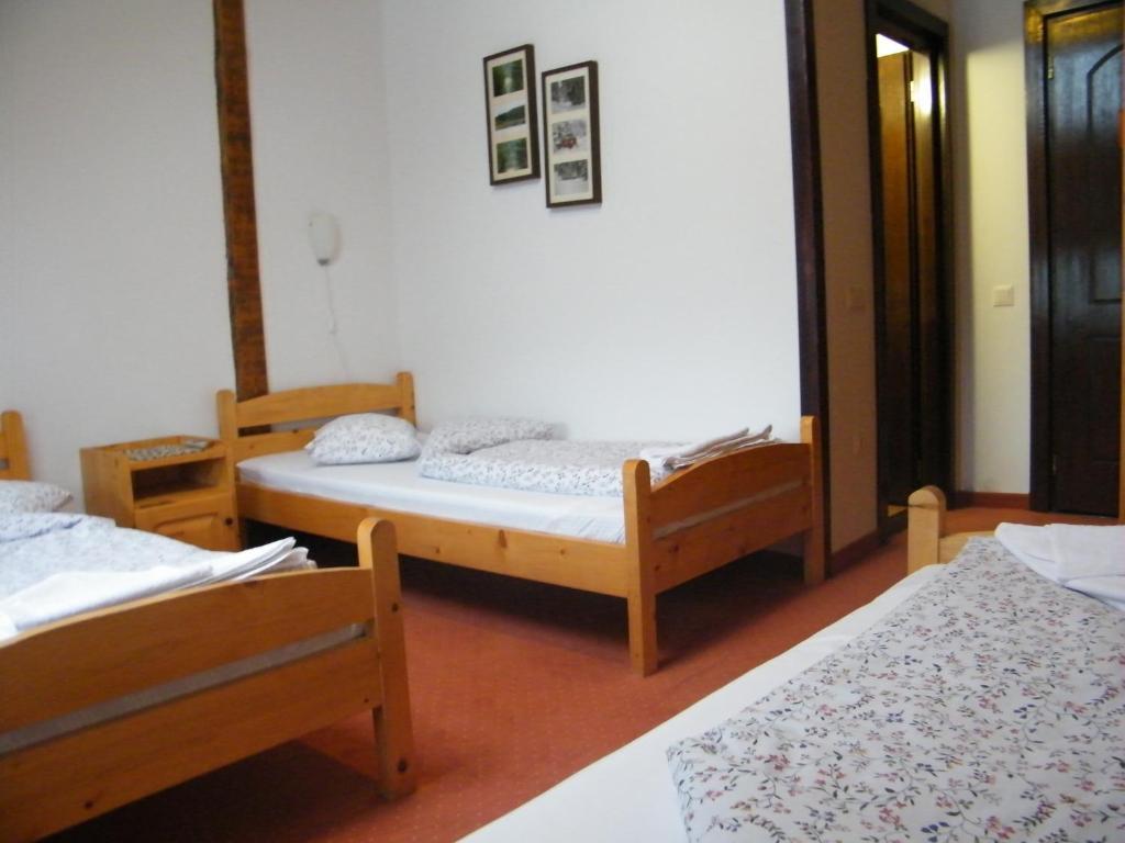 Balu Pension Topliţa Oda fotoğraf